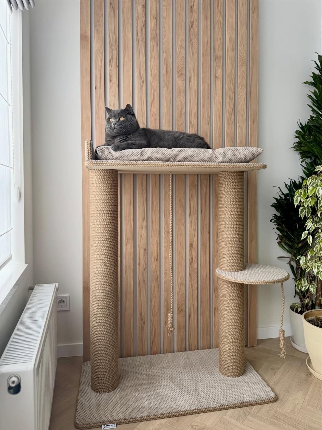 Where aesthetics become part of cat comfort.  ✔️Height 110 cm (in the photo)  ▫️ lower base - 48*85 cm ▫️upper base - 48*75 cm ▫️ round shelf - 33 cm ▫️ diameter of columns - 12.5 cm ▫️ height of columns - 100 cm – Cat Home