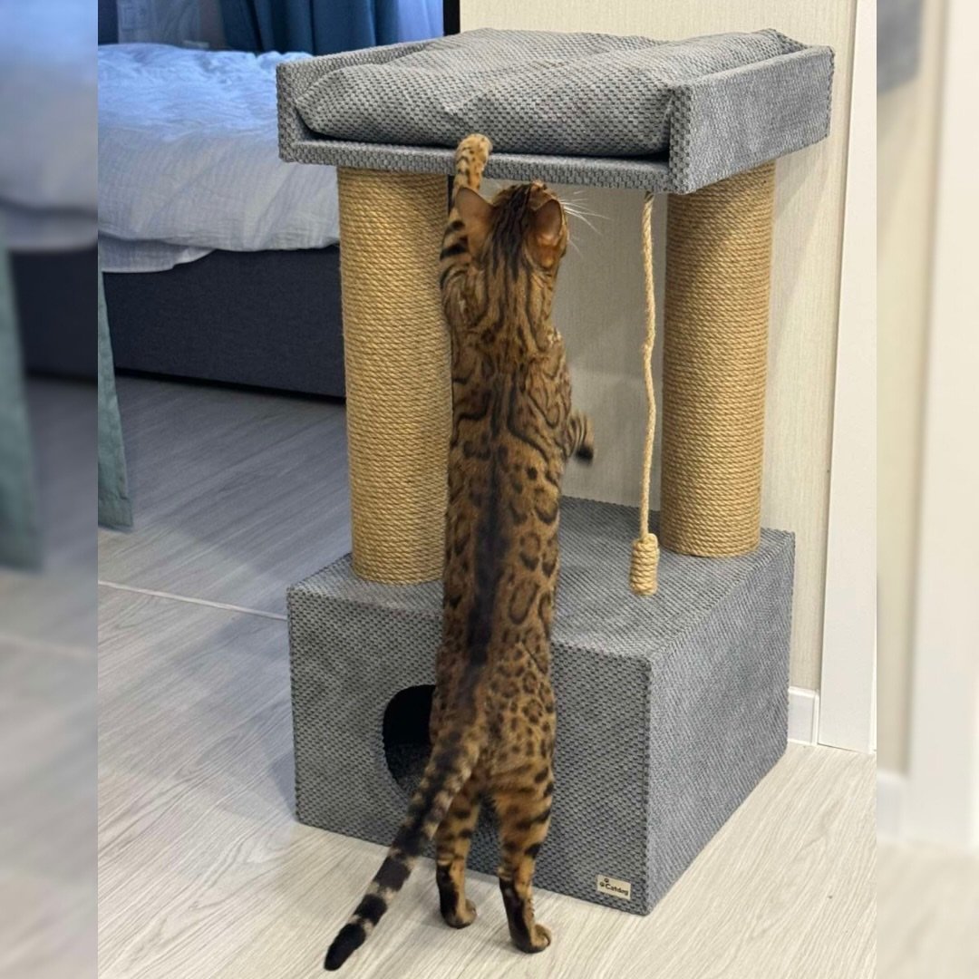 The "Palmyra" complex does not take up much space, but at the same time it contains everything you need for your ponytail👌  🐾 Total height 90 cm.  🐾The 45*45*30 cm house is very large and roomy, with a soft carpet inside. 🐾 Lounger 45*40 cm  🐾 Columns wit – Cat Home