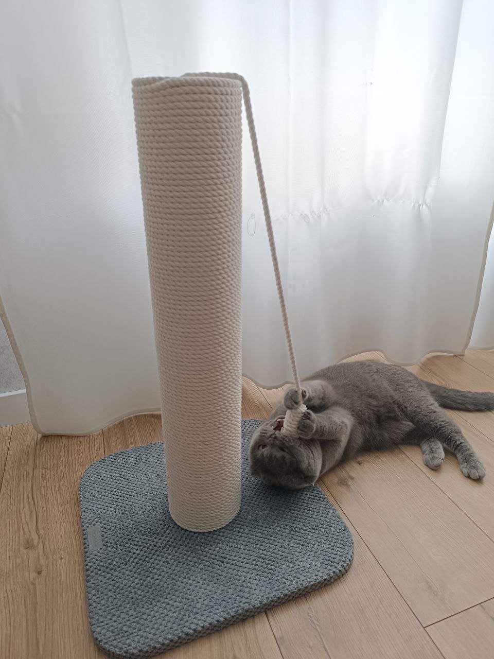 Claw "you'll lick your fingers (more precisely, claws)" 😜☺️.  One of the most popular models of our own production, which combines compactness, versatility, practicality, and a stylish appearance.  👌You can climb on it,  👌 you can sit on top of it  👌Or ju – Cat Home