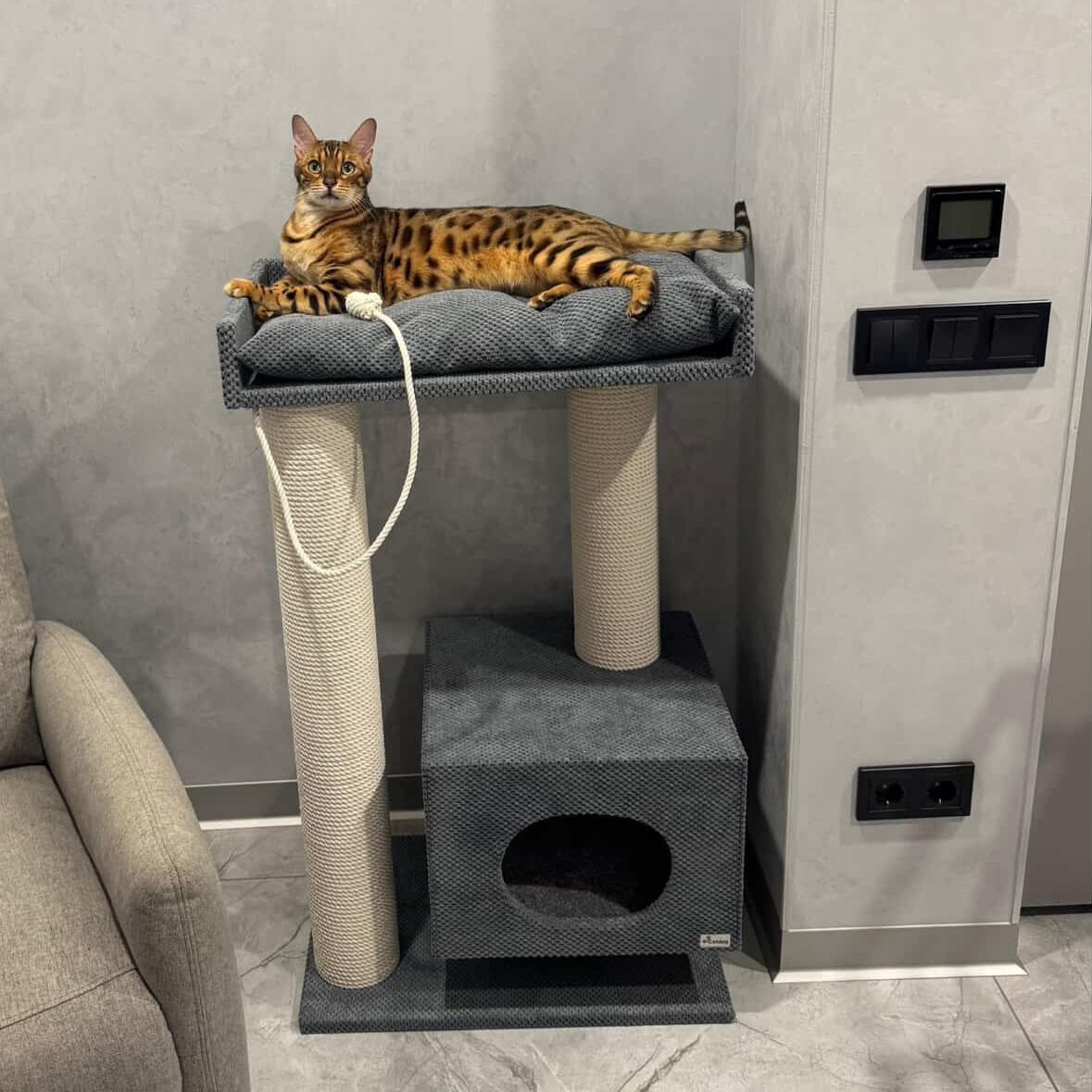 cm has already conquered many with its functionality, compactness and stylish appearance. – Cat Home