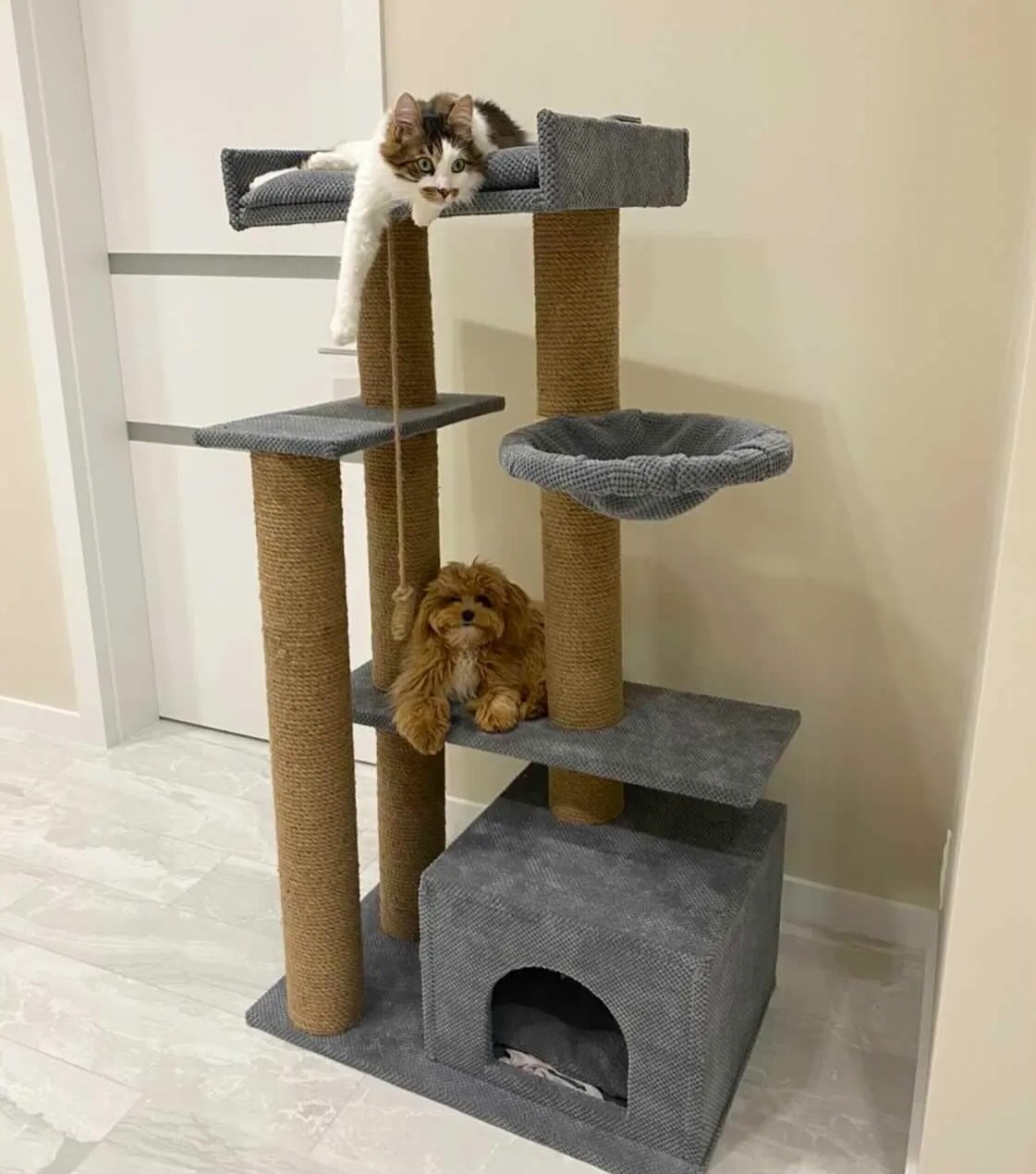 The Charlie complex is a full-fledged palace🙈 for your pets.  This is not only a claw, but also a place for games, wild games, sleep, relaxation, observation.  Suitable for one, two, three or even four cats. – Cat Home