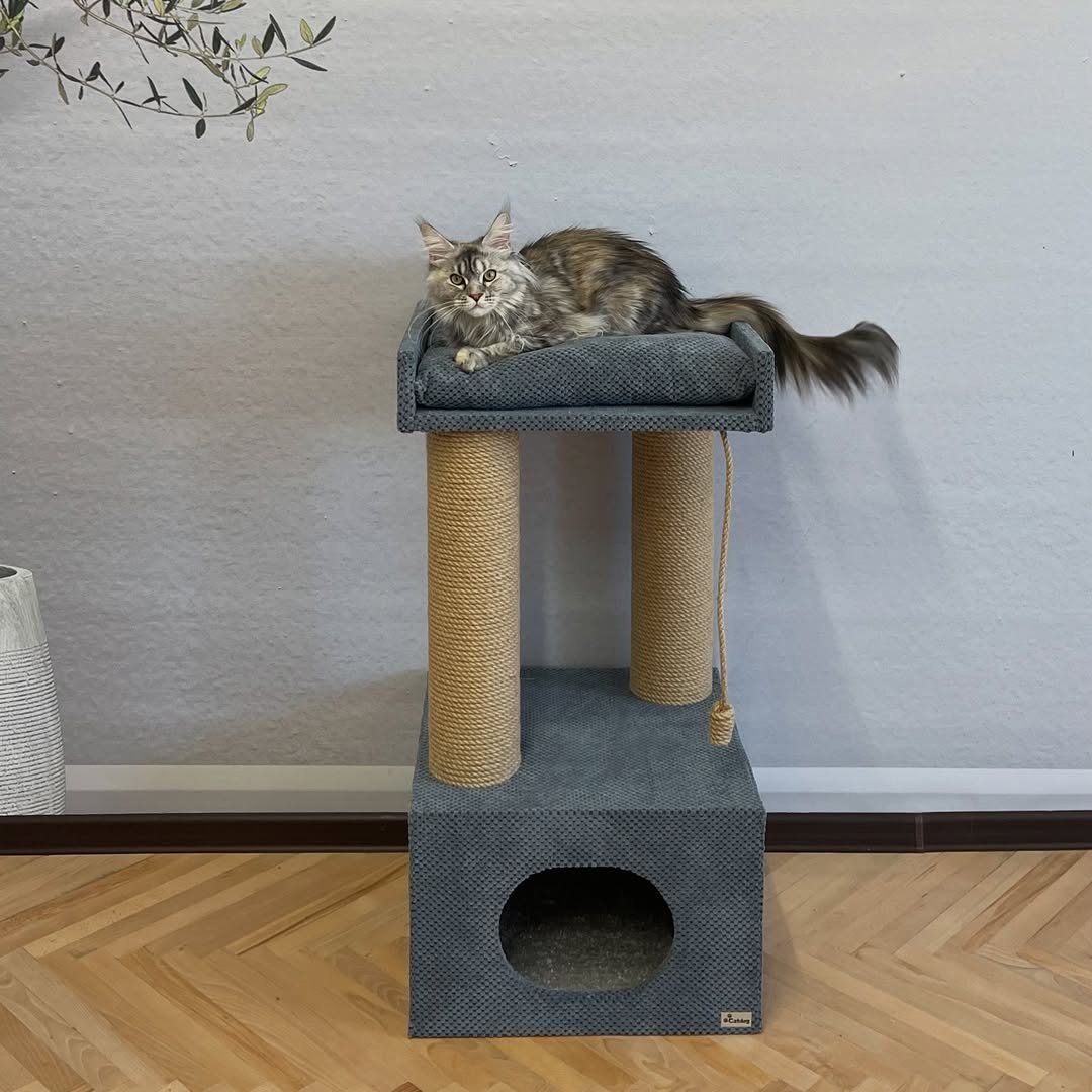 The "Palmyra" complex does not take up much space, but at the same time it contains everything you need for your ponytail👌  🐾 Total height 90 cm.  🐾The 45*45*30 cm house is very large and roomy, with a soft carpet inside. 🐾 Lounger 45*40 cm  🐾 Columns wit – Cat Home